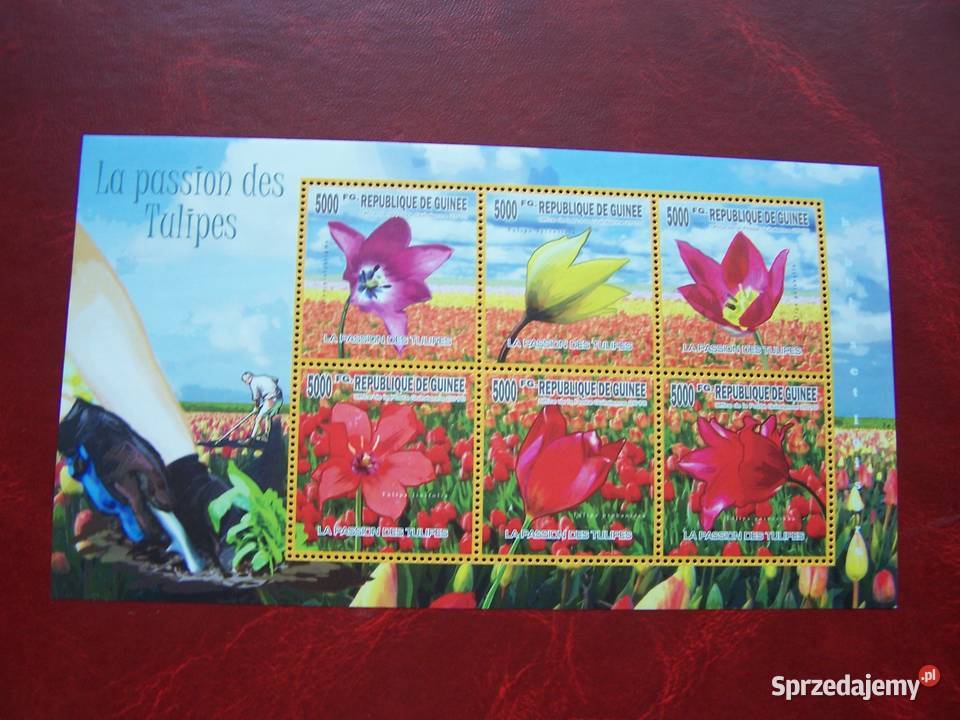Gwinea 2010 MNH Flora Kwiaty Tulipany Tychy sprzedam