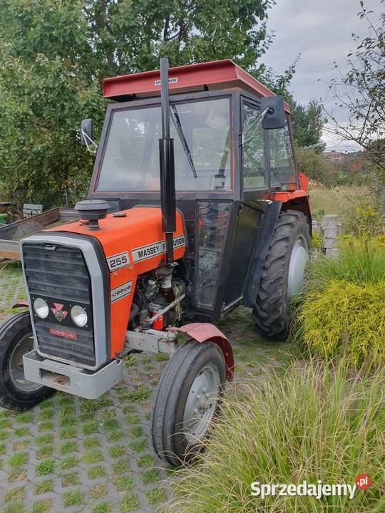 Masey Ferguson 255 Wola Uhruska