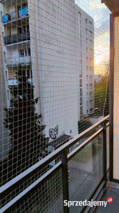 Montowanie siatki przeciw ptakom Warszawa Siatka mazowieckie usługi dla zwierząt