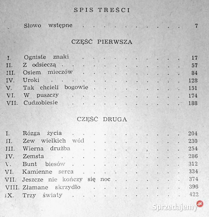 Gorące wici Janusz Teodor Dybowski Chełm