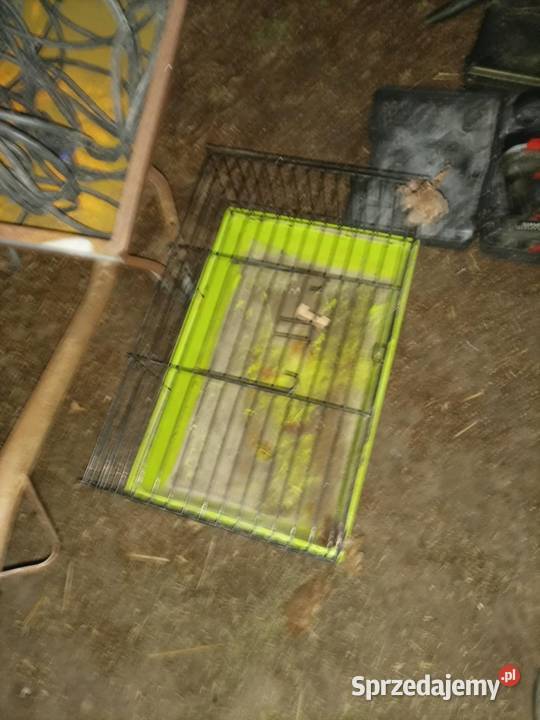 Klatki do Królików świnek morskich itp Jaracz