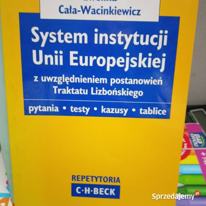 System instytucji unii europejskiej książki biznes, nauki ekonomiczne Warszawa