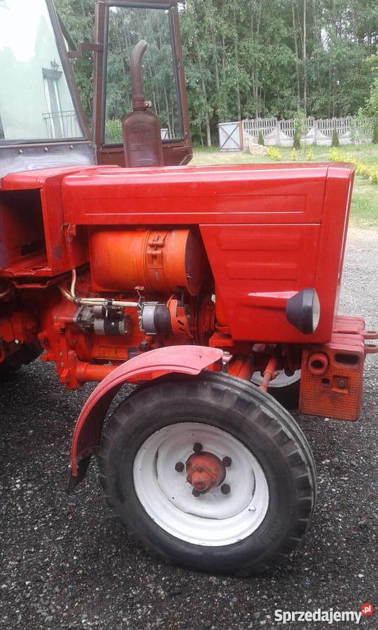 Władimirec T25A1 świętokrzyskie