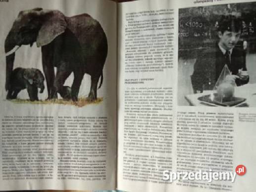 Polska moja ojczyzna Encyklopedia dzieci 1979 Łódź sprzedam