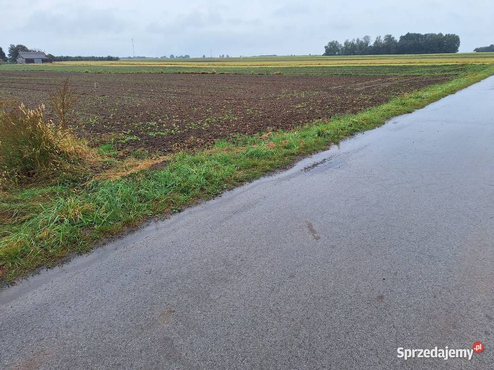 Działka budowlana Krzyżanówka gm Sienno 50000 m2 budowlana mazowieckie sprzedam