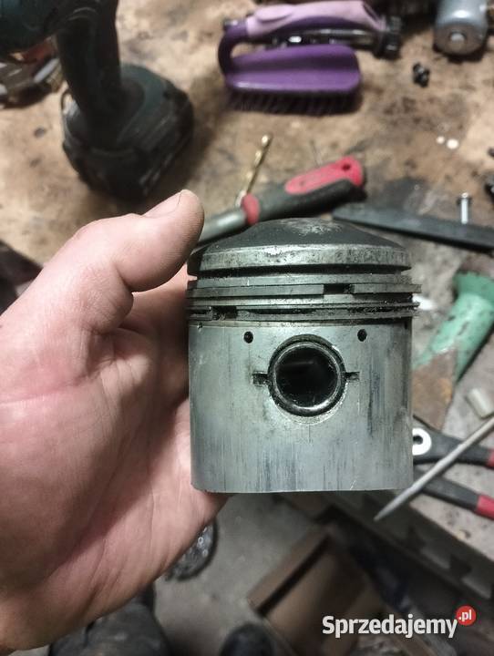 Junak tlok podkarpackie Hermanowa