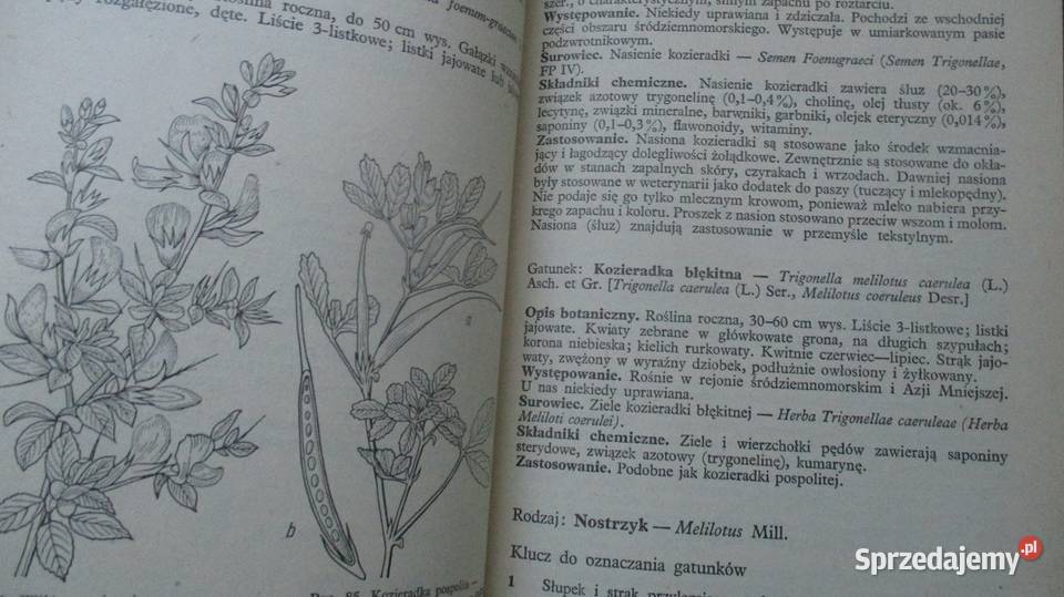 Przewodnik do oznaczania krajowych roślin Łódź