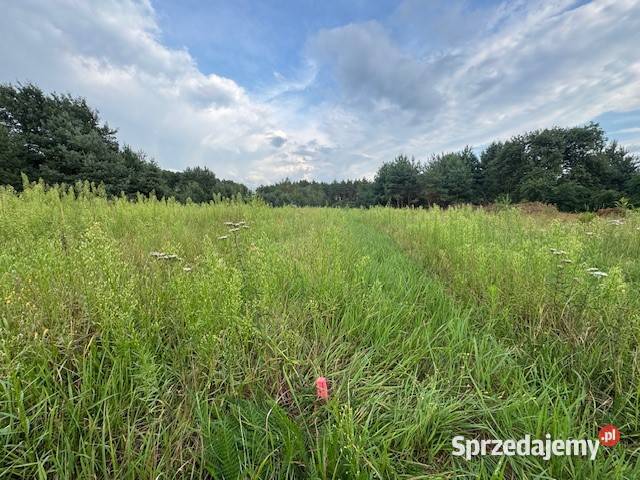 Dziełka budowlana Kuligów utwardzona