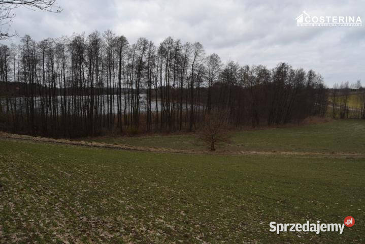 Ogłoszenie grunt Stare Polaszki 5000m2