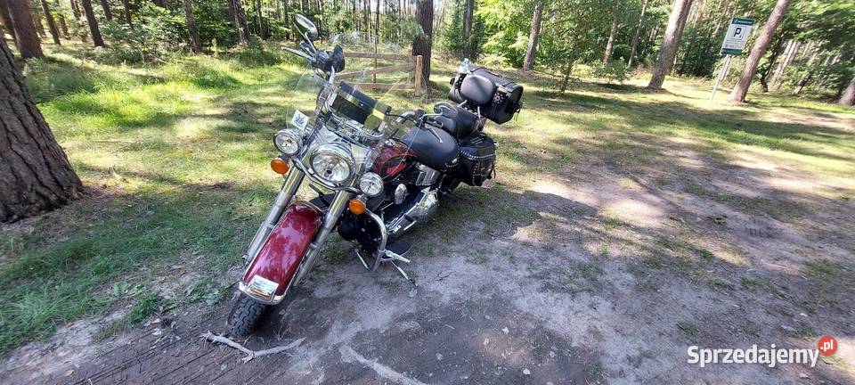 Motocykl Harley Davidson Softail Motoryzacja