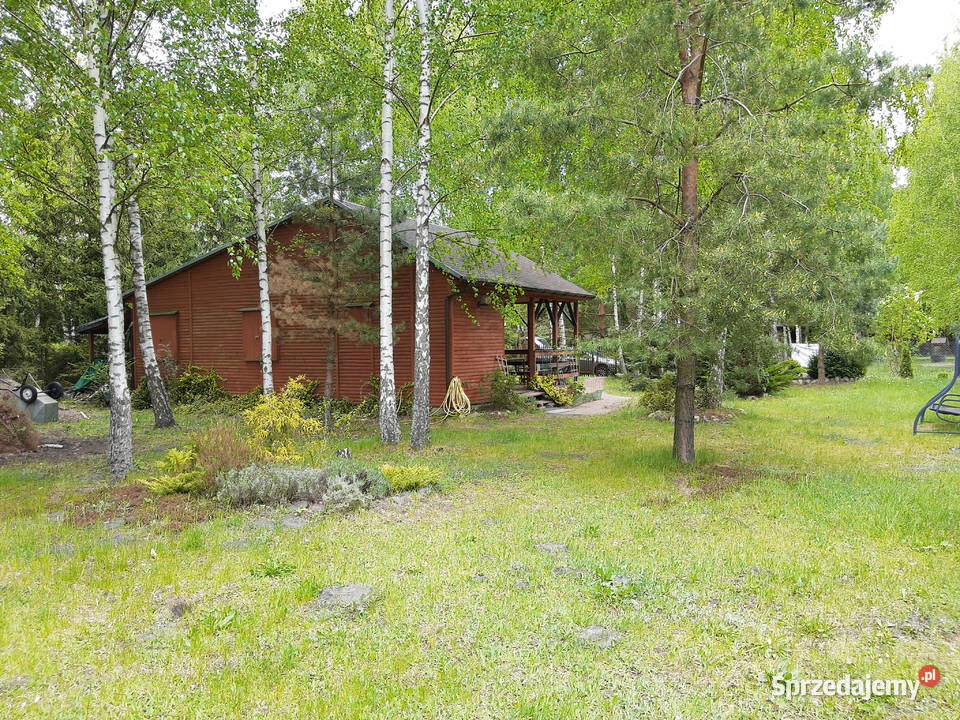 dzialka z domkiem w Matyldowie kolo Płocka