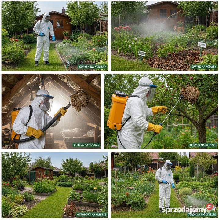 Likwidacja komarów kleszczy Opryski Wrocław