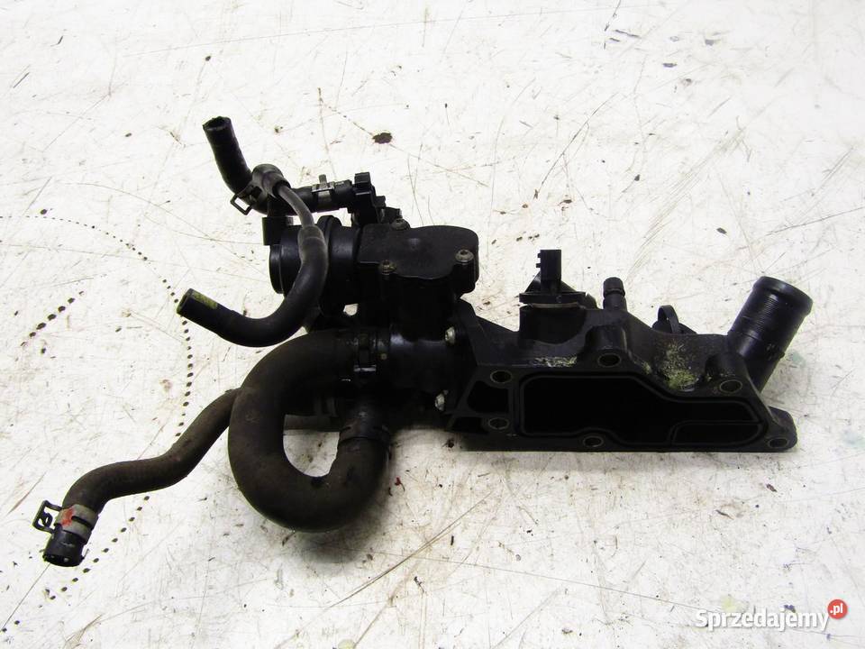 OBUDOWA TERMOSTATU MAGISTRALA WODNA 12DIGT sprzedam