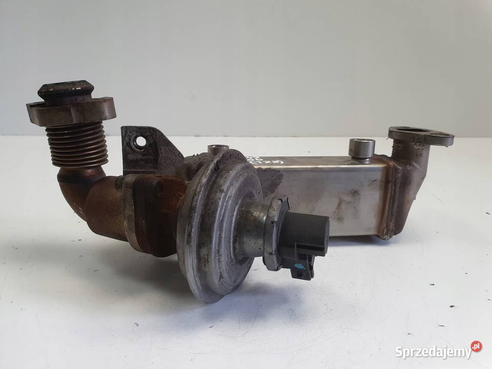 BMW E87 E90 E91 20 D CHŁODNICA SPALIN EGR Silniki i osprzęt Chełm