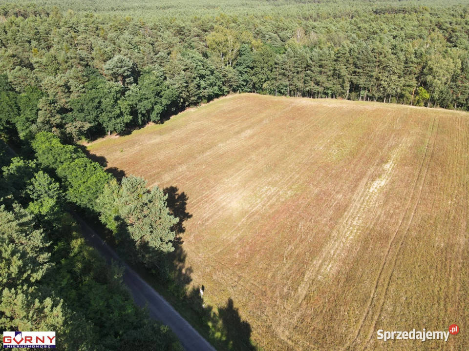 Działka 4600m2 Stobnica