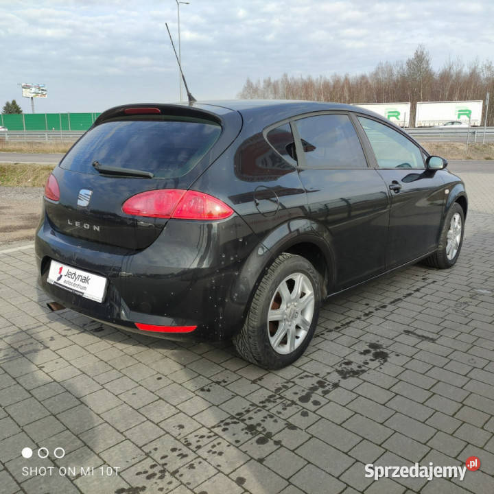Seat Leon II 20052012 lakier metallic Leon Lipówki