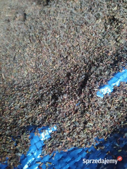 Sprzedam Nasiona kozłka lekarskiego Pozostałe Nowodwór