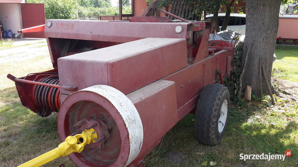 prasa sipma kostka Firlej