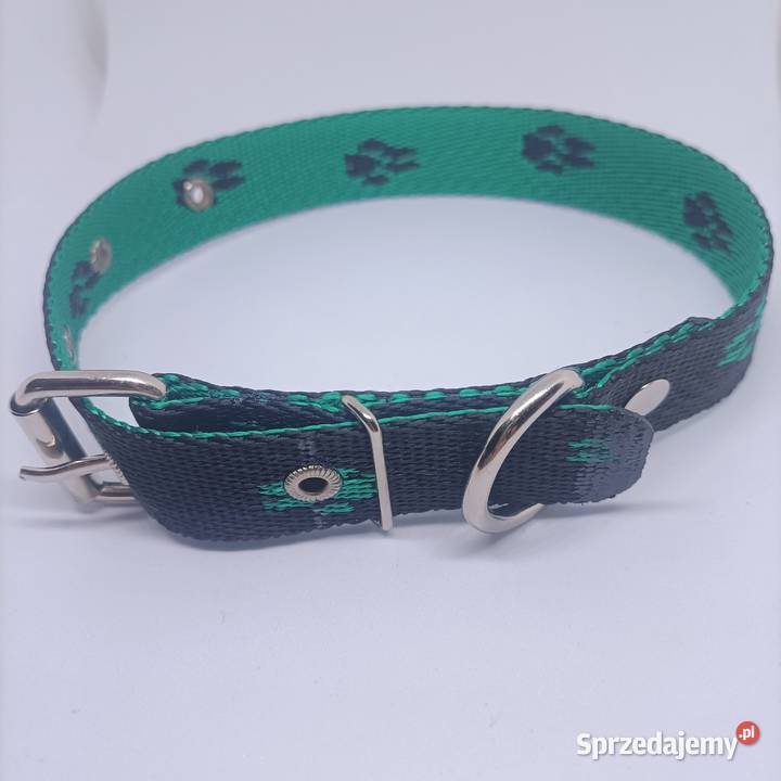 Obroża psa 25mm75 Gorzów Wielkopolski