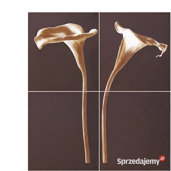 Obraz Calle 593 x 654 Tubądzin aktualne płytki