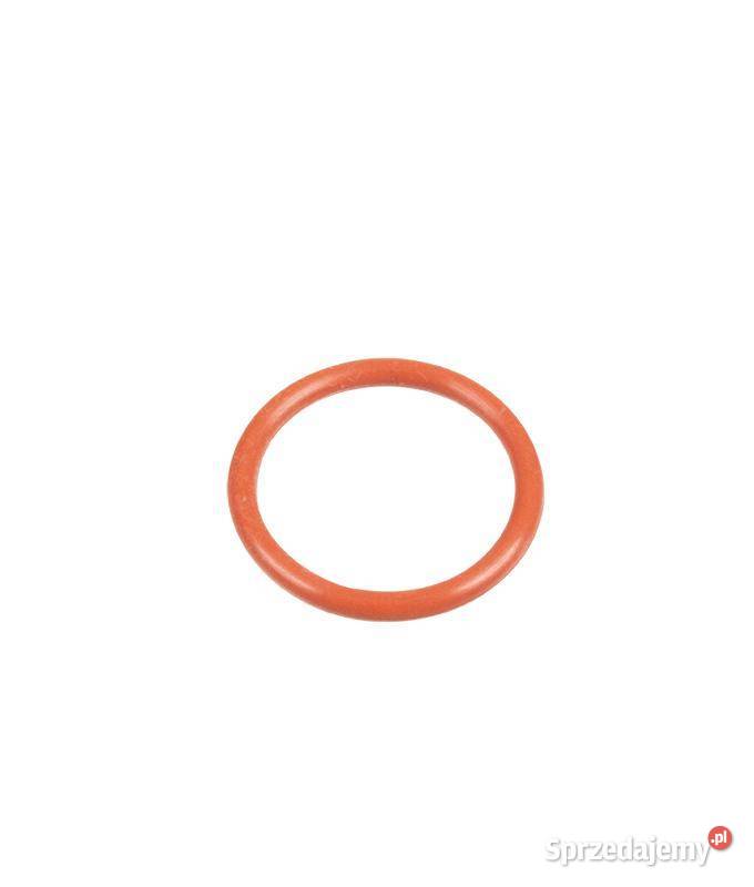 Gaźnik BS SERIES 550 OHV CZĘŚĆ ORYGINALNA Opalenica sprzedam