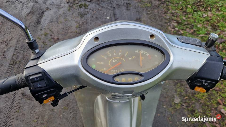 Lifan Delfin 50 4T Jaszkowo