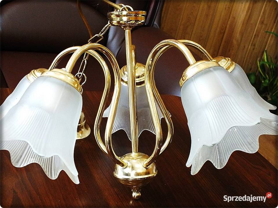 Złoty Żyrandol 5 ramienny Tulipany Lampa wisząca Lampy wiszące Żary