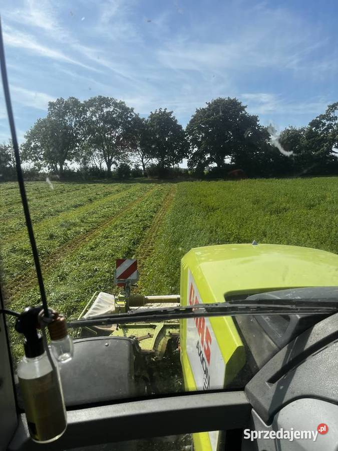 Sianokiszonka z lucerny 2025 Lipno