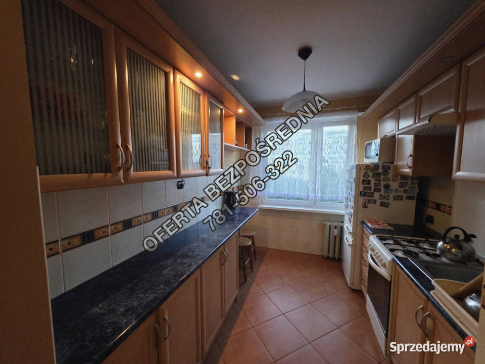 485 m2 w atrakcyjnym punkcie Rubinkowa Toruń