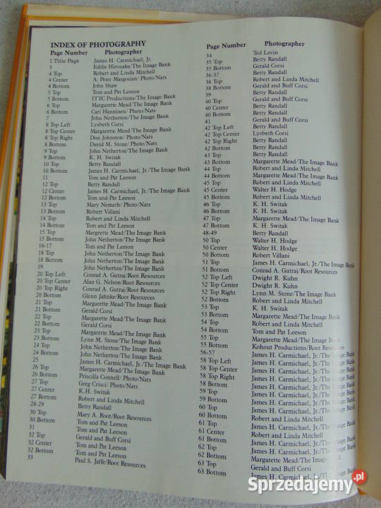 Album Wild Flowers Ann Reilly