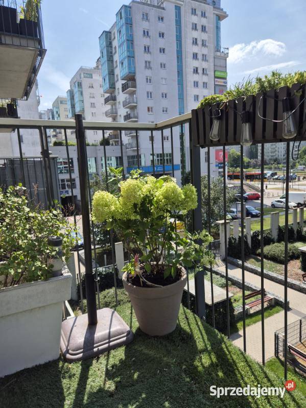 4 pokoje komórka miejsce parkingowe Targówek Warszawa sprzedam