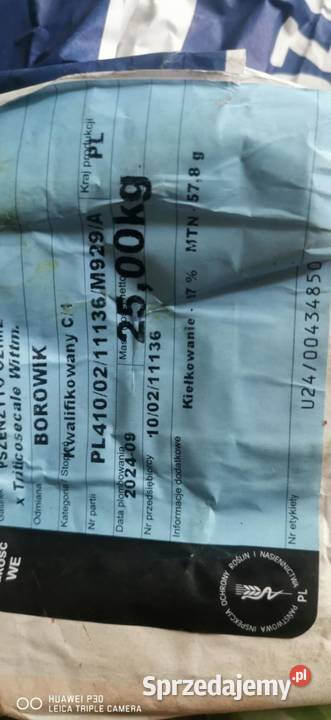 Sprzedam pszenżyto odmiana Borowik Gieczno