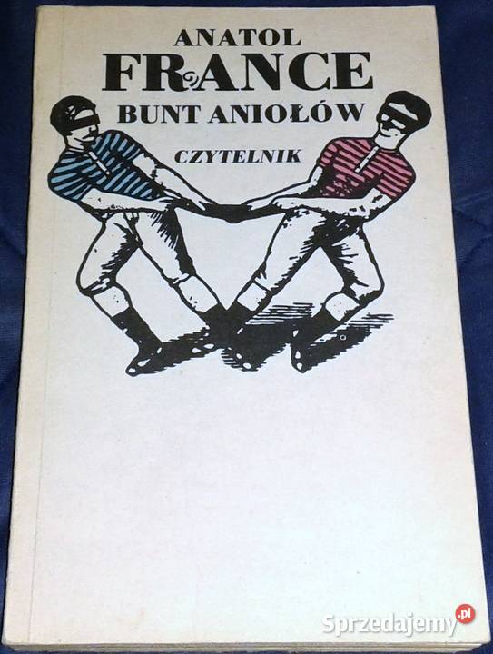 Bunt aniołów Anatol France miękka lubelskie Chełm sprzedam