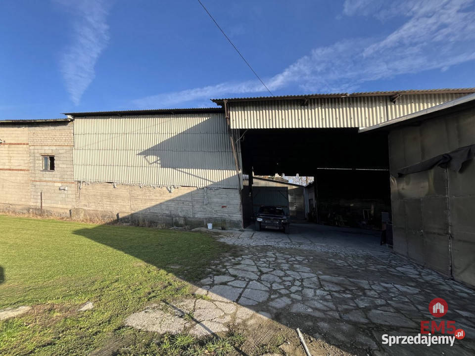 Do wynajęcia lokal Białystok 500m2