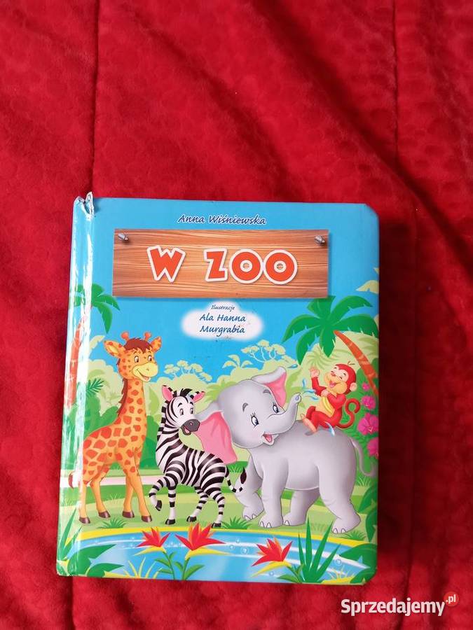 Na wsi ciekawa ksiązeczka Sosnowiec