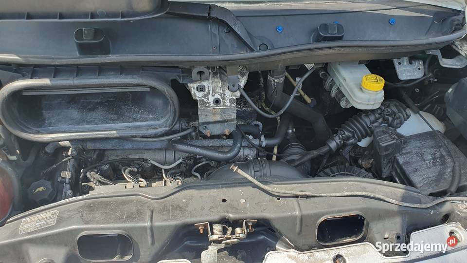 Fiat Ducato 30JTD L4H2 maxi paka 4 metry Napęd przednia oś Samochody dostawcze zachodniopomorskie Stargard