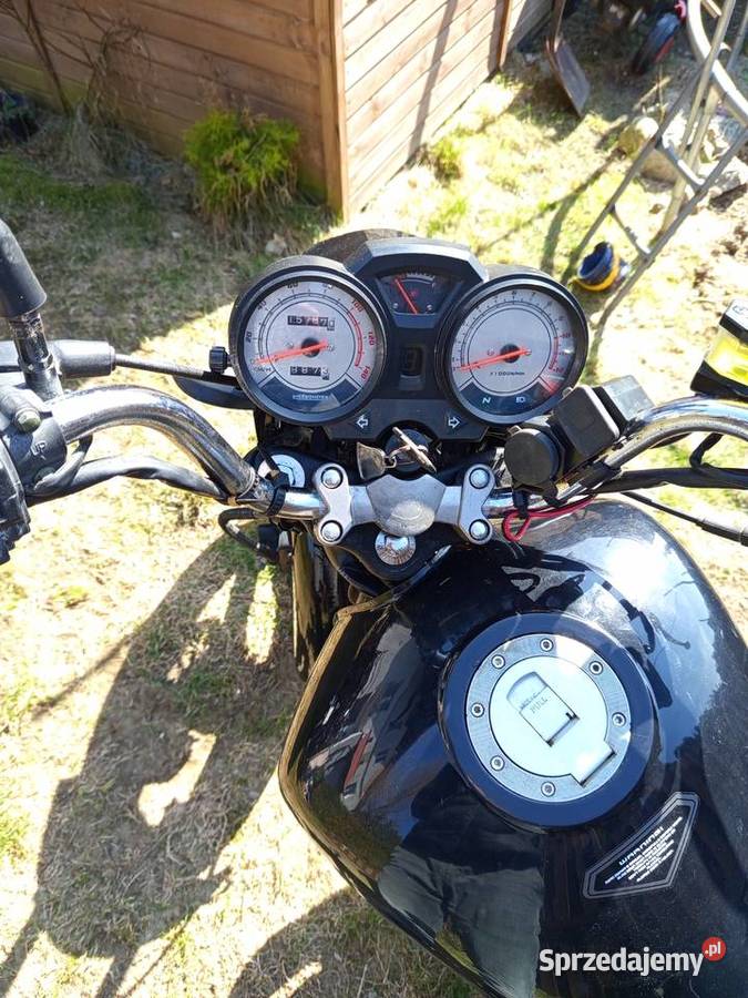 Toros negro 125 na kat b Kolbudy