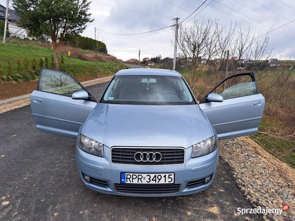 Audi A3 8P 16 MPI z LPG małopolskie