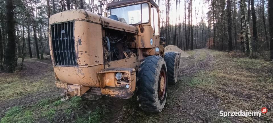 Ładowarka kołowa hanomag Koparko ładowarki Chełst sprzedam
