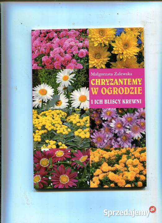 Chryzantemy w ogrodzie Małgorzata Zalewska Rok wydania 2005 Szczecin