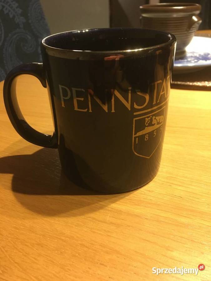 Penn State Acoustics kubek Kilncraft pomorskie Pruszcz Gdański