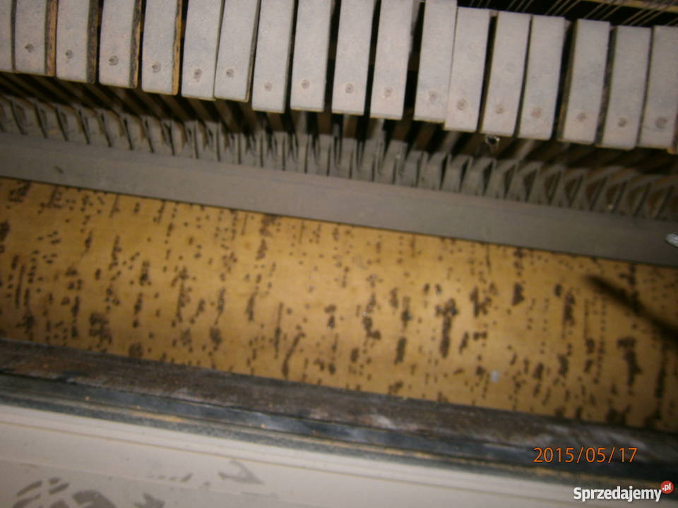 Szafa Grajaca Rzeszów sprzedam