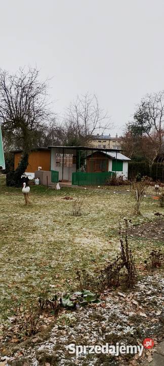 Działka ROD Pabianice