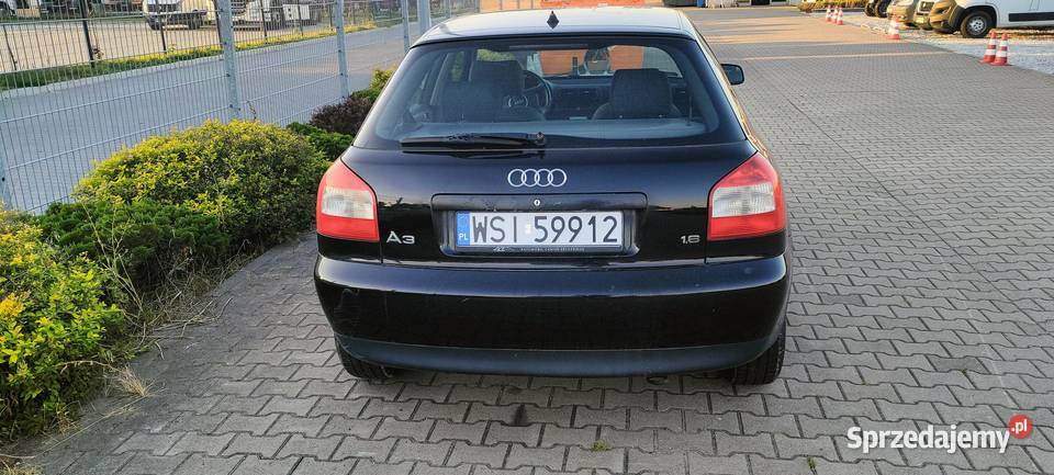 Audi A3 8L 16 Benzyna 2001 r Polift Zadbane do Rok produkcji 2001