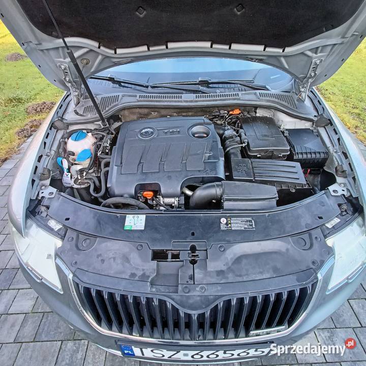 Bez dwumasu stan świętokrzyskie