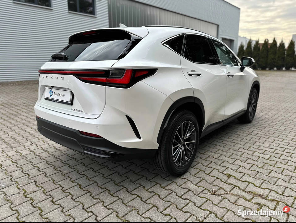Lexus NX 350h 4x4 business edition wynajem z Transport śląskie Gliwice