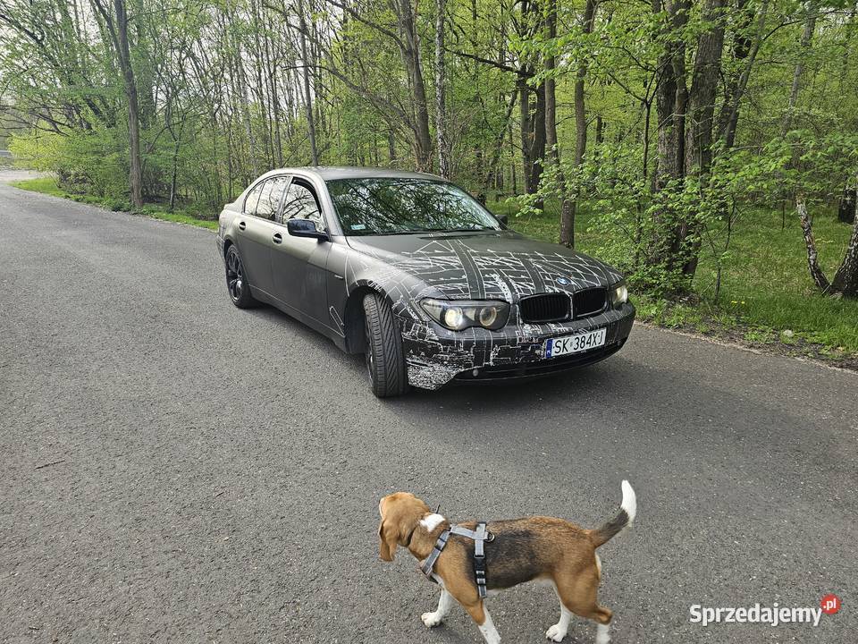 Bmw E65 730D 218 zmieniarka CD Seria 7 śląskie Katowice