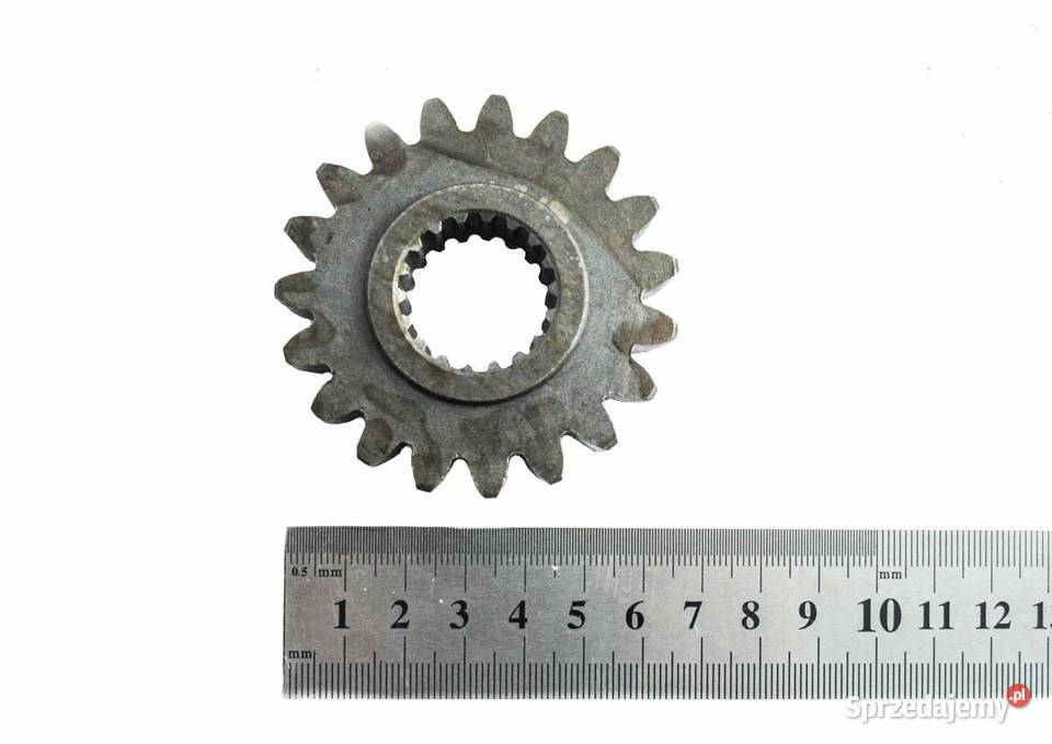 Zębatka 65x25 mm B13 19T 18T Tajęcina