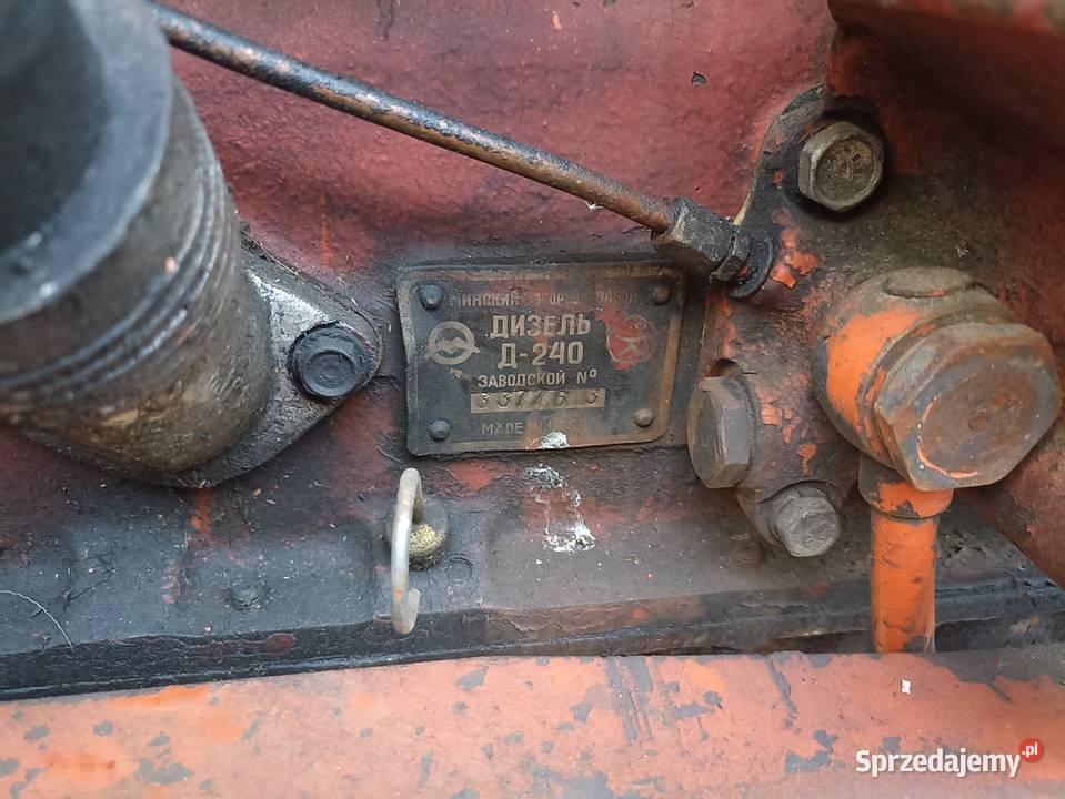 MTZ 550 z silnikiem D240 80 lubuskie Złotnik sprzedam