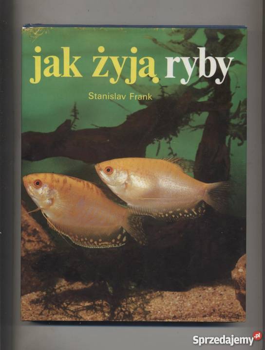 żyją ryby Szczecin